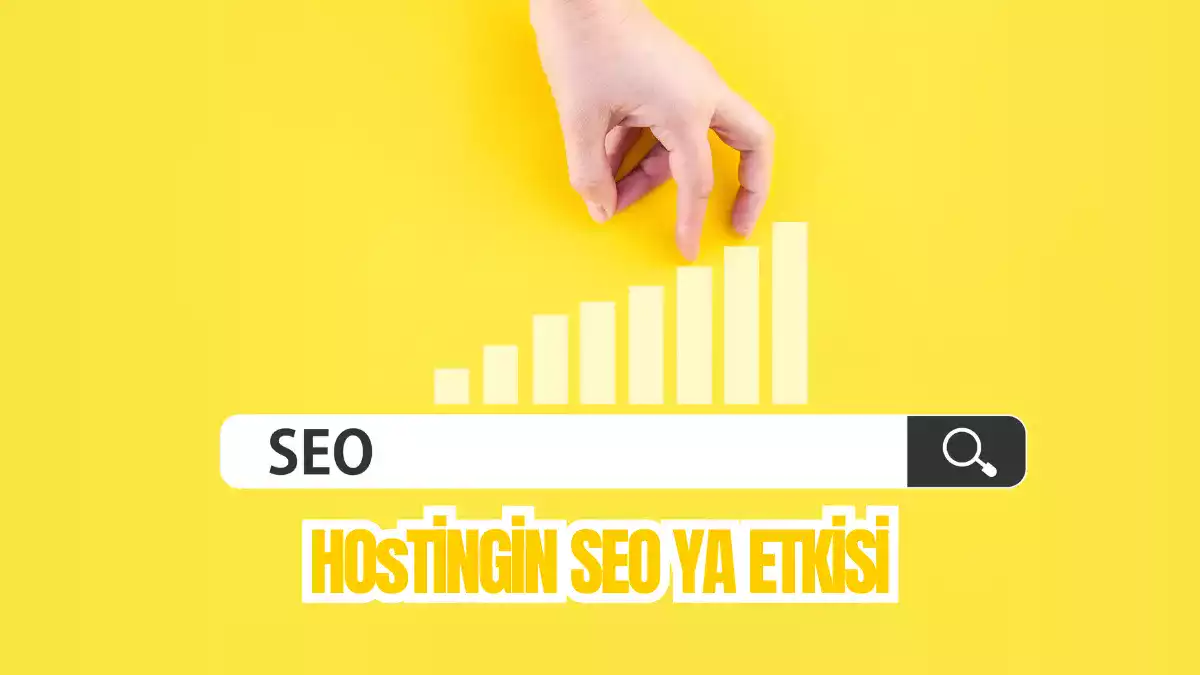 Hosting in seo ya etkisi nedir?