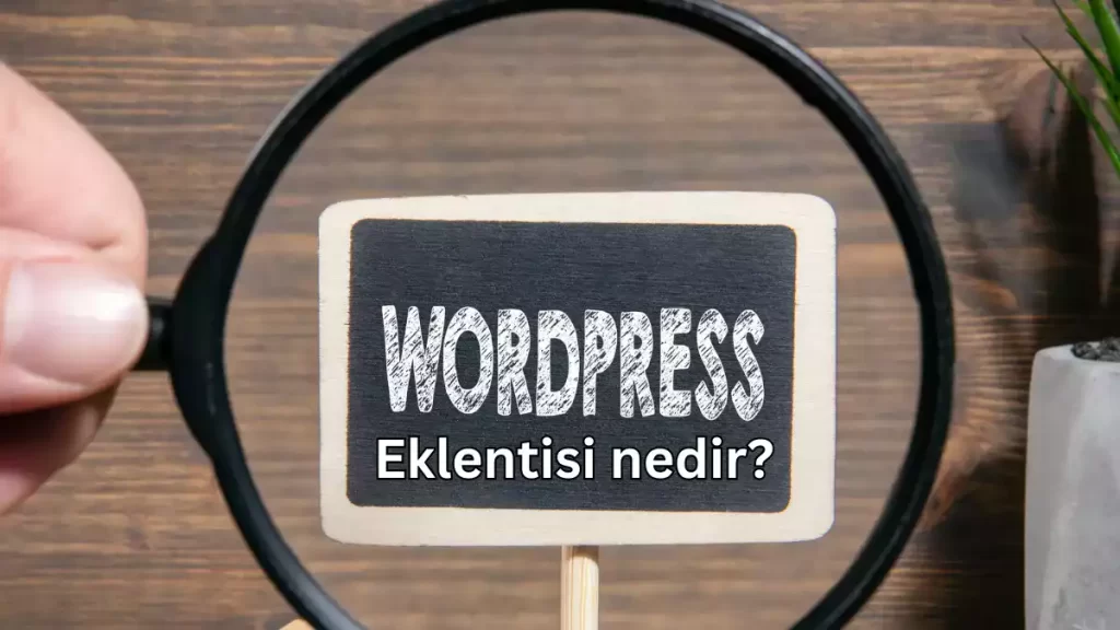 Wordpress eklentisi ne anlama gelir?